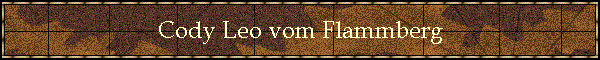 Cody Leo vom Flammberg